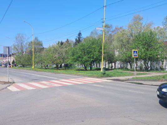 Депутати Ужгородської міськради хочуть віддати під забудову відразу кілька зелених зон