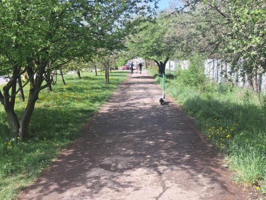 Депутати Ужгородської міськради хочуть віддати під забудову відразу кілька зелених зон
