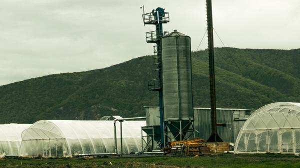 AgroGloryTime запустила програму «Купи теплицю» — інноваційний формат інвестицій в агробізнес